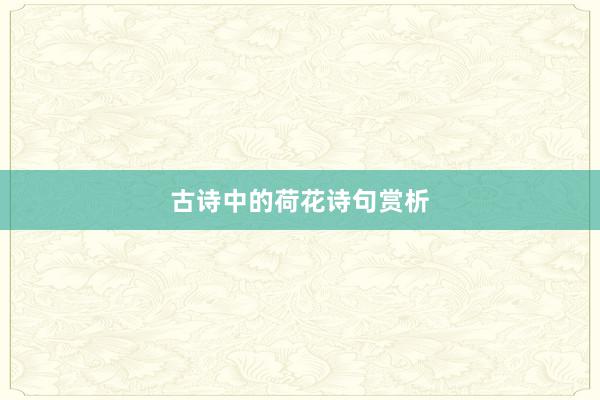 古诗中的荷花诗句赏析