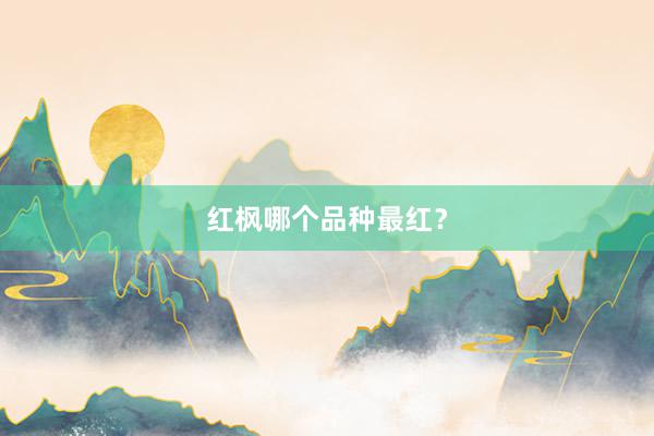 红枫哪个品种最红？